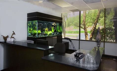 辦公室魚缸位置